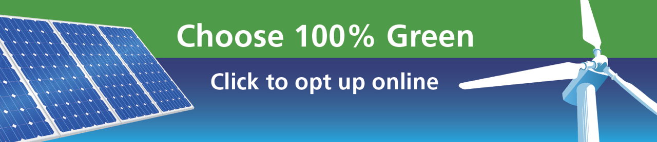 Choose 100% Green. Click to opt up online.
