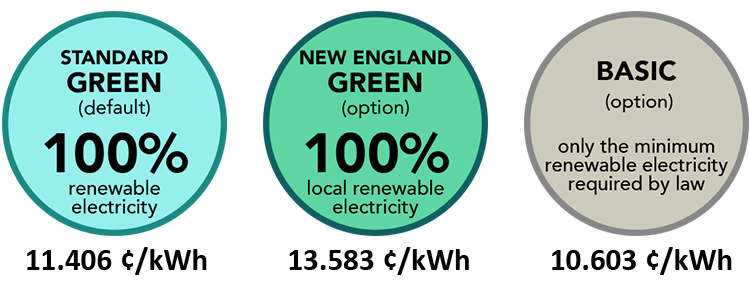 Graphic showing three options, their renewable energy content, and their prices.