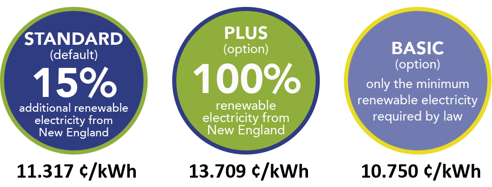 Graphic showing three options, their renewable energy content, and their prices.