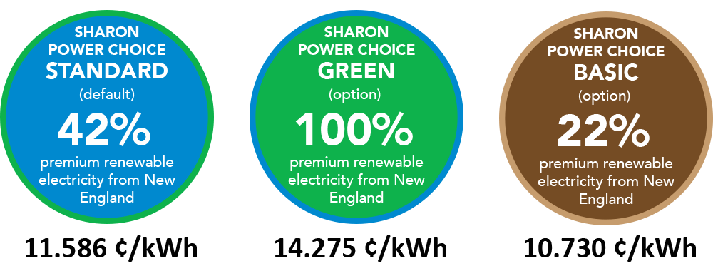 Graphic showing three options, their renewable energy content, and their prices.