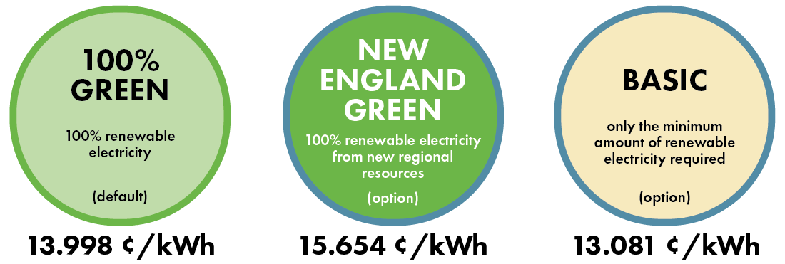 Graphic showing three options, their renewable energy content, and their prices.