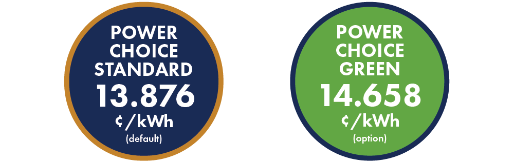 Graphic showing the two options and their prices.