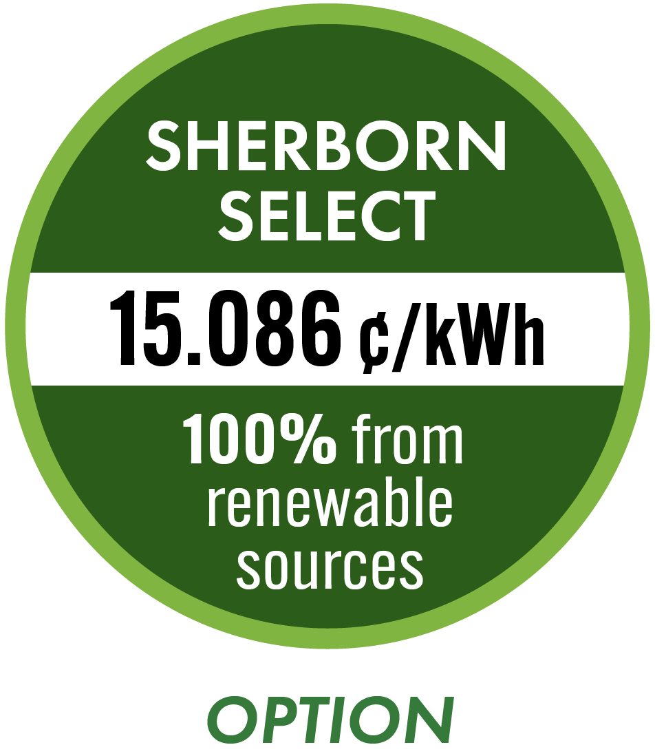 Sherborn Select - option