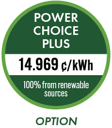 Power Choice Plus - option