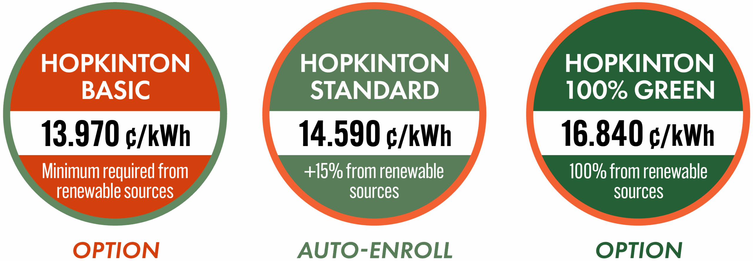 Graphic showing the three options, their renewable energy content, and their prices.