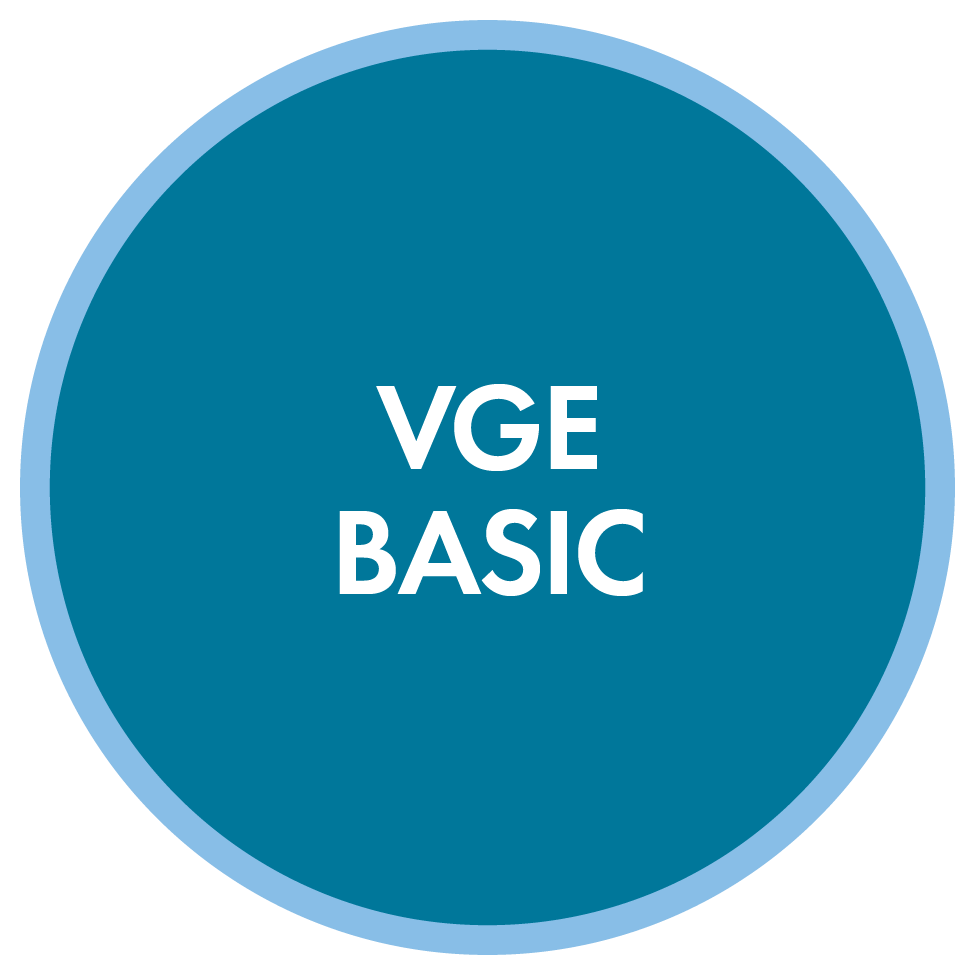 VGE Basic