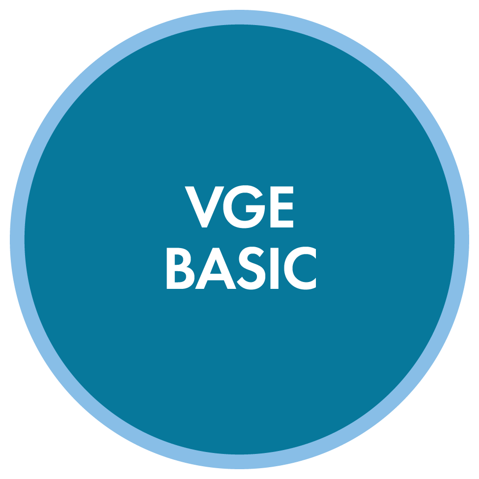 VGE Basic